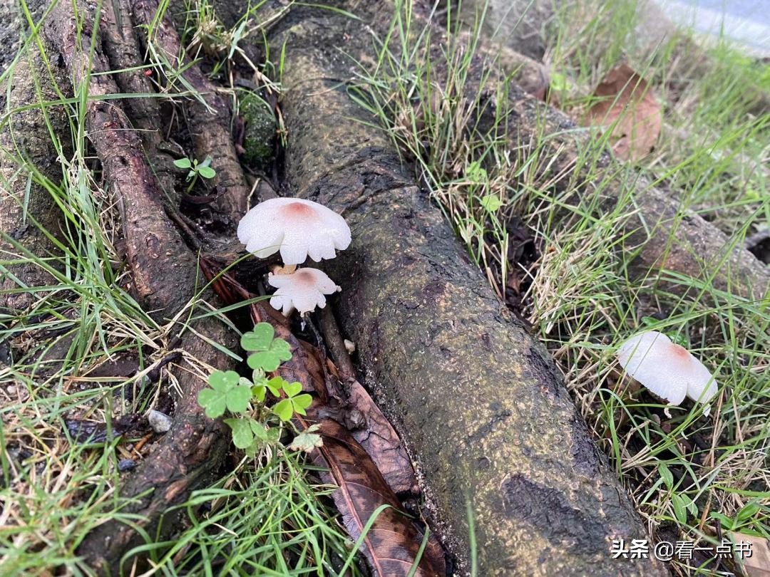 2022年5月总结：学心理学的好处是自我疗愈