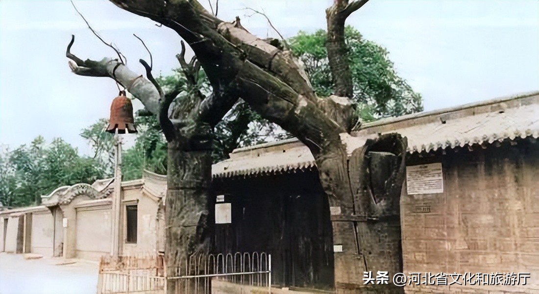 中国最难读地名999%的人会读错,100个中国最难读的地名鄞县