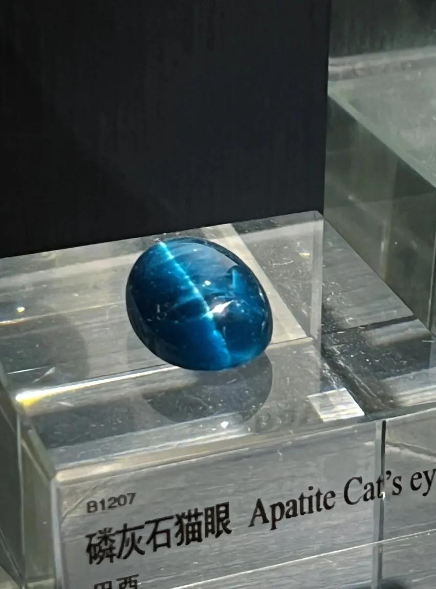 中国地质博物馆藏宝图,国家地质博物馆藏品