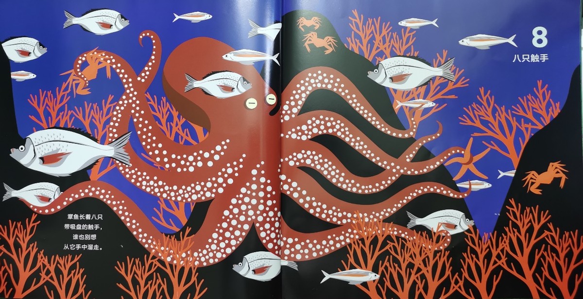 绘本和我一起数星星,儿童绘本推荐3-6岁星星主题