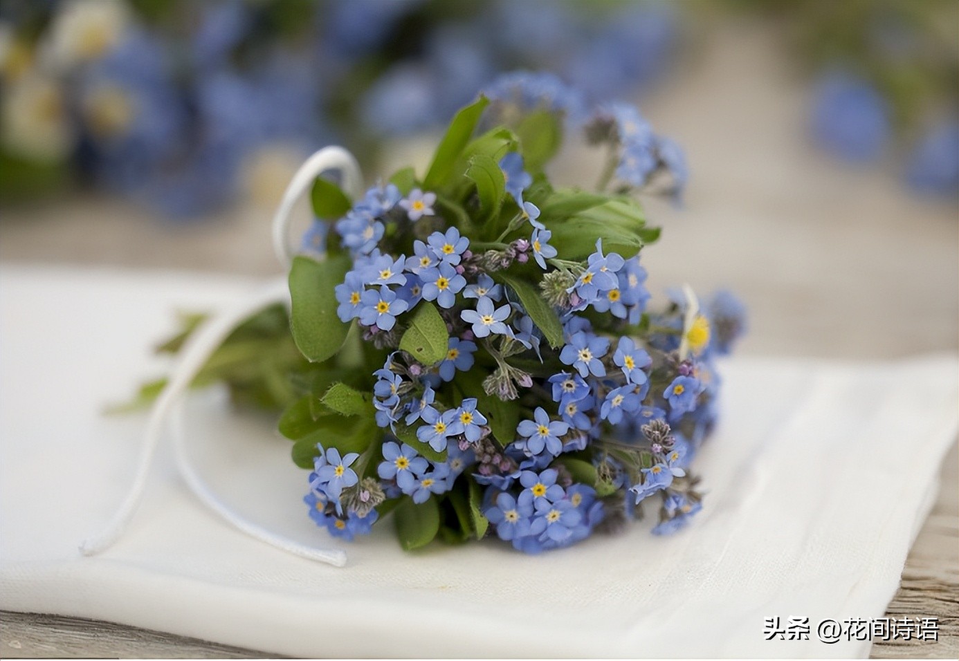 520送什么鲜花最好看,520送鲜花和什么花合适