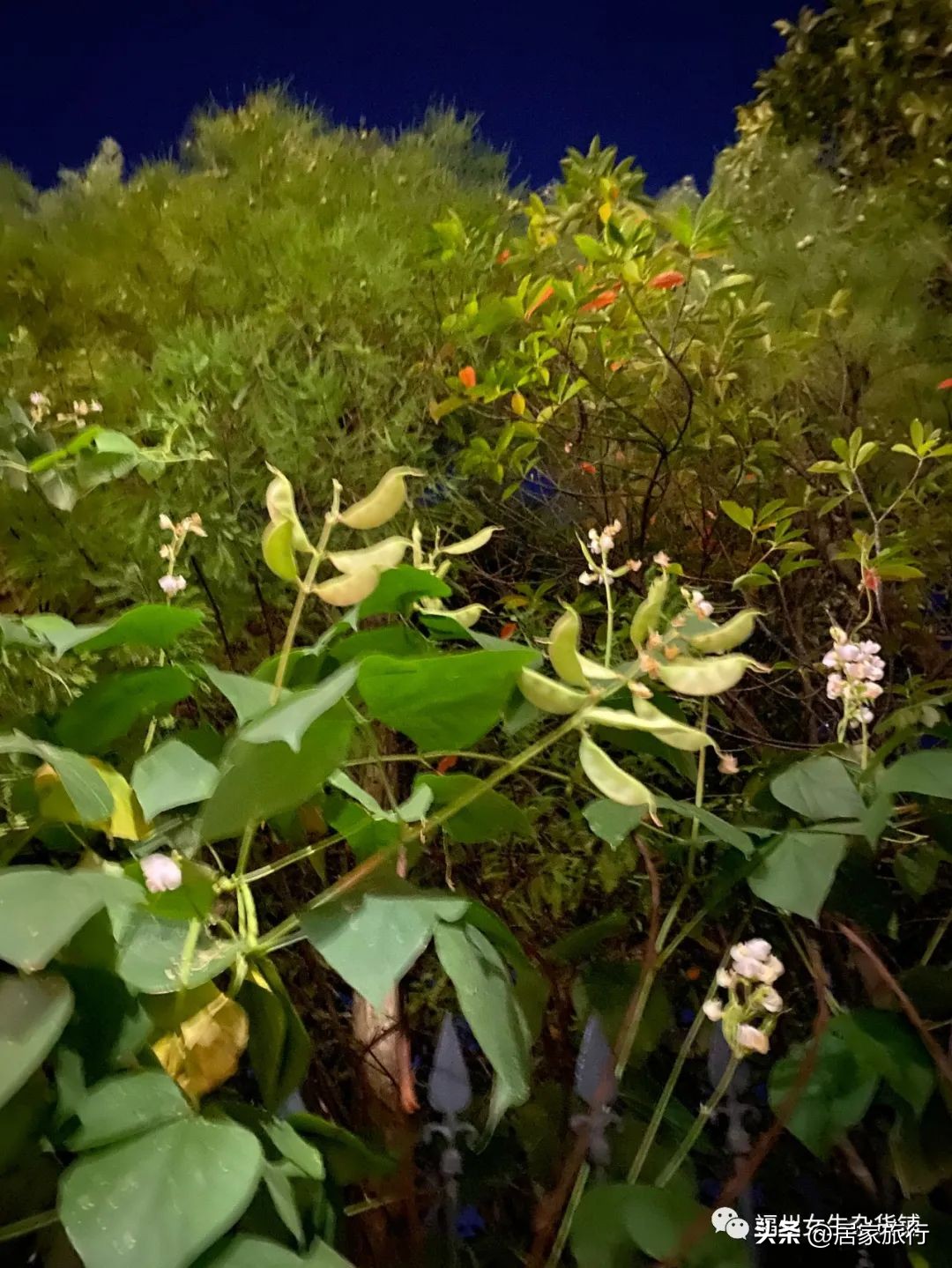 10/28,秋光漫漫下的码字