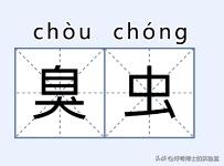 密密麻麻又小又黄的颗粒是虫卵吗,家里褐色小颗粒是什么虫卵