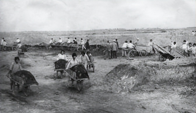 来自塔里木《塔河文苑》：睡着的胡杨