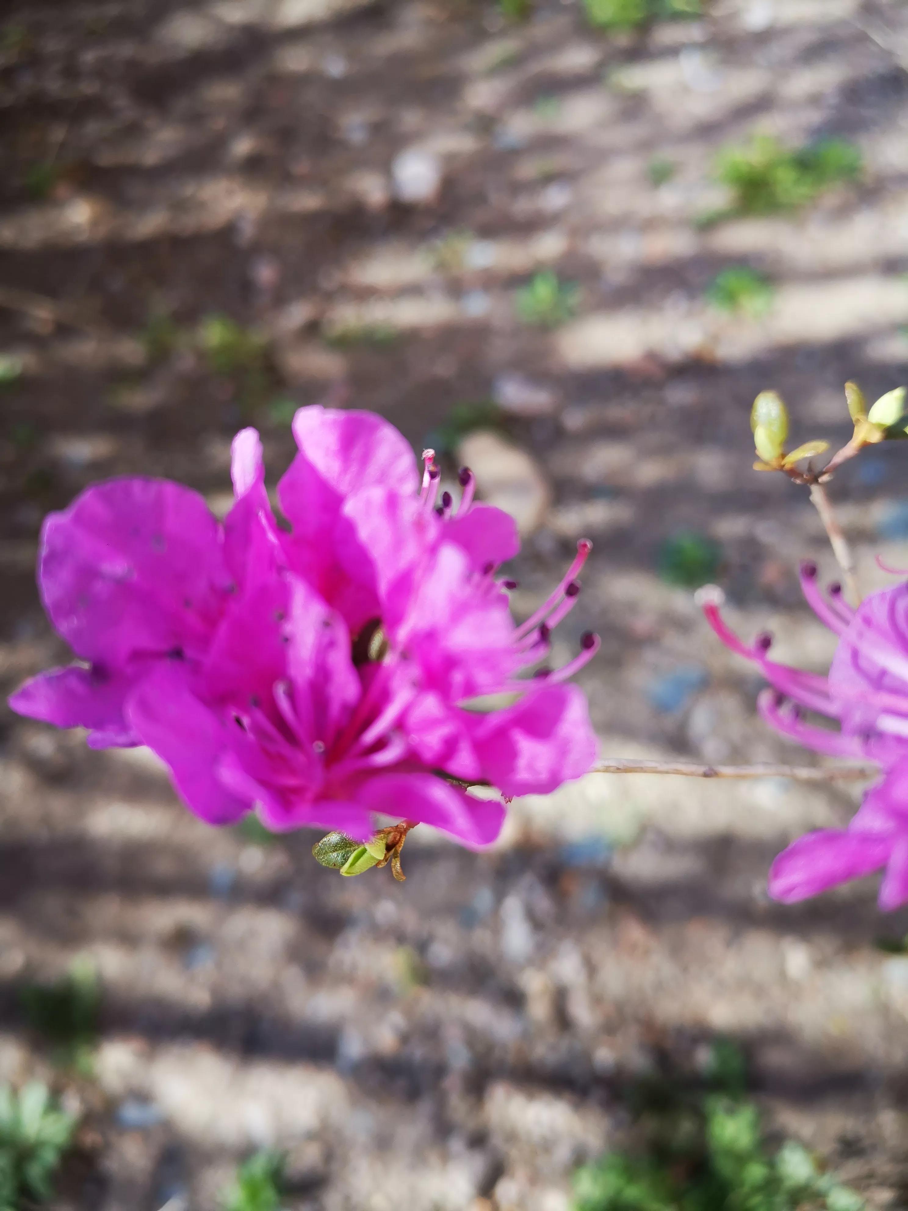 我的业余爱好介绍,我的业余爱好英语