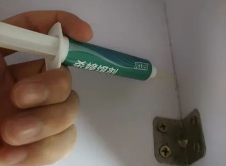 家里有蟑螂怎么处理有最有效方法,怀孕了家里有蟑螂怎么办能除根