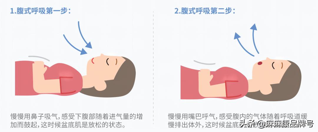 产后腰痛、腹部松垮？一文教你自测与修复腹直肌分离