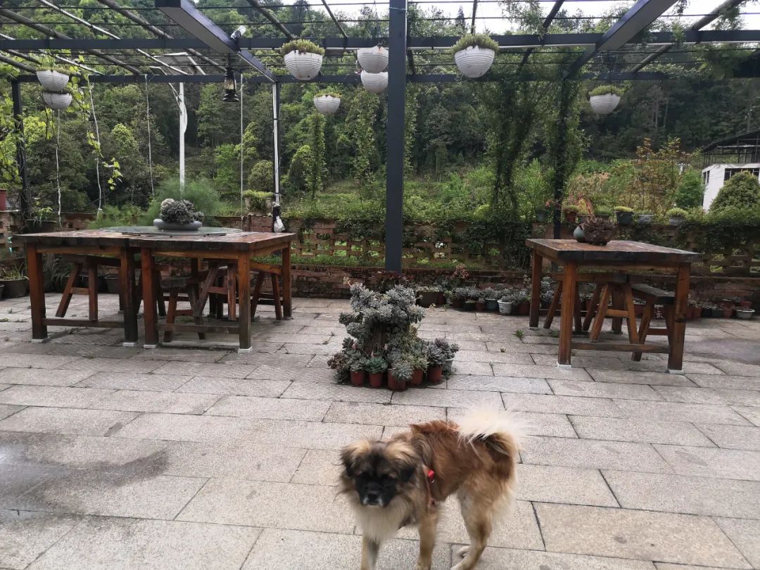 贵阳农村自建房出租哪里找,贵阳出租农村院子