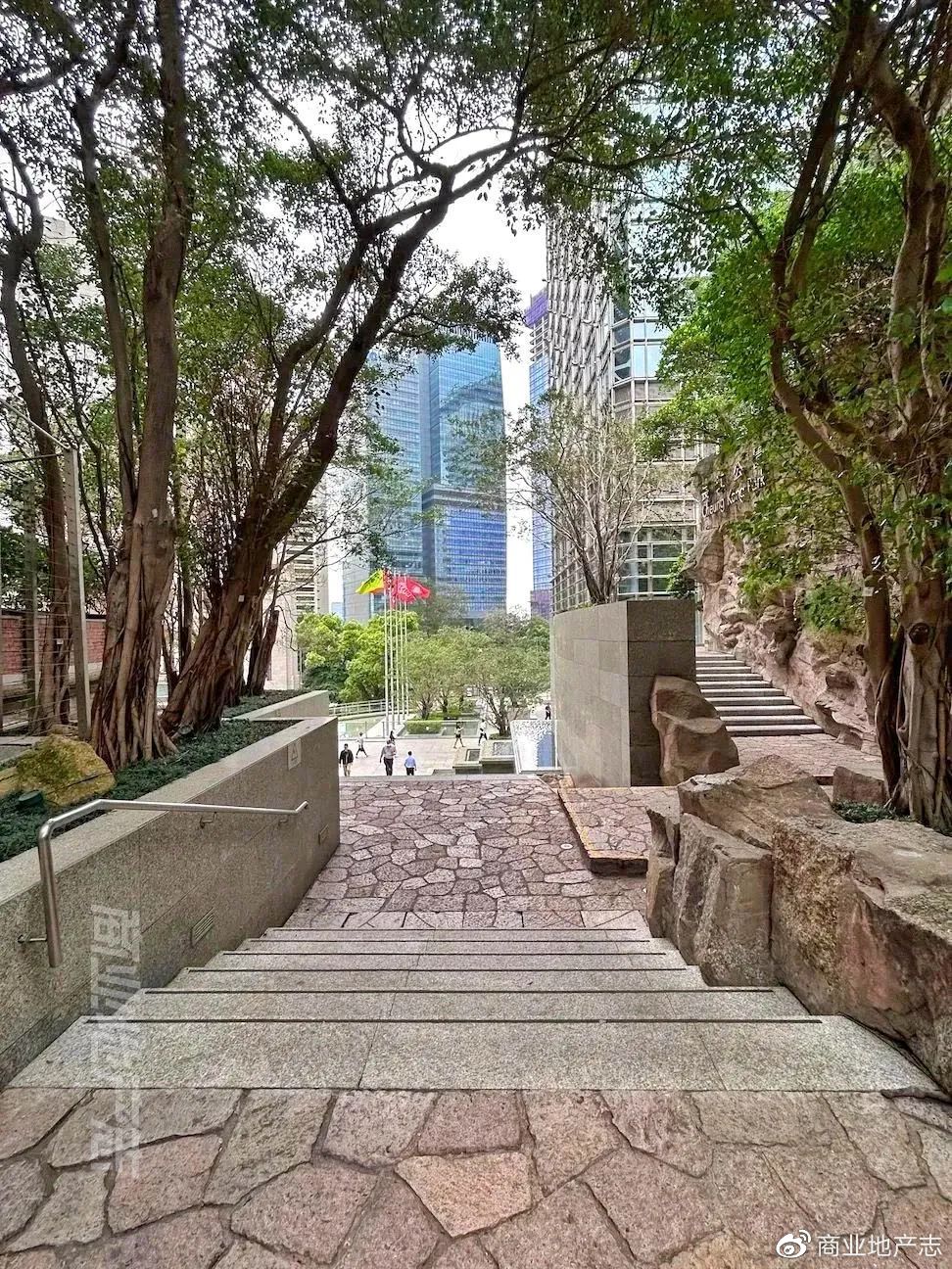 CRR杂谈|HK7日，我与7个香港商业人的深聊记录