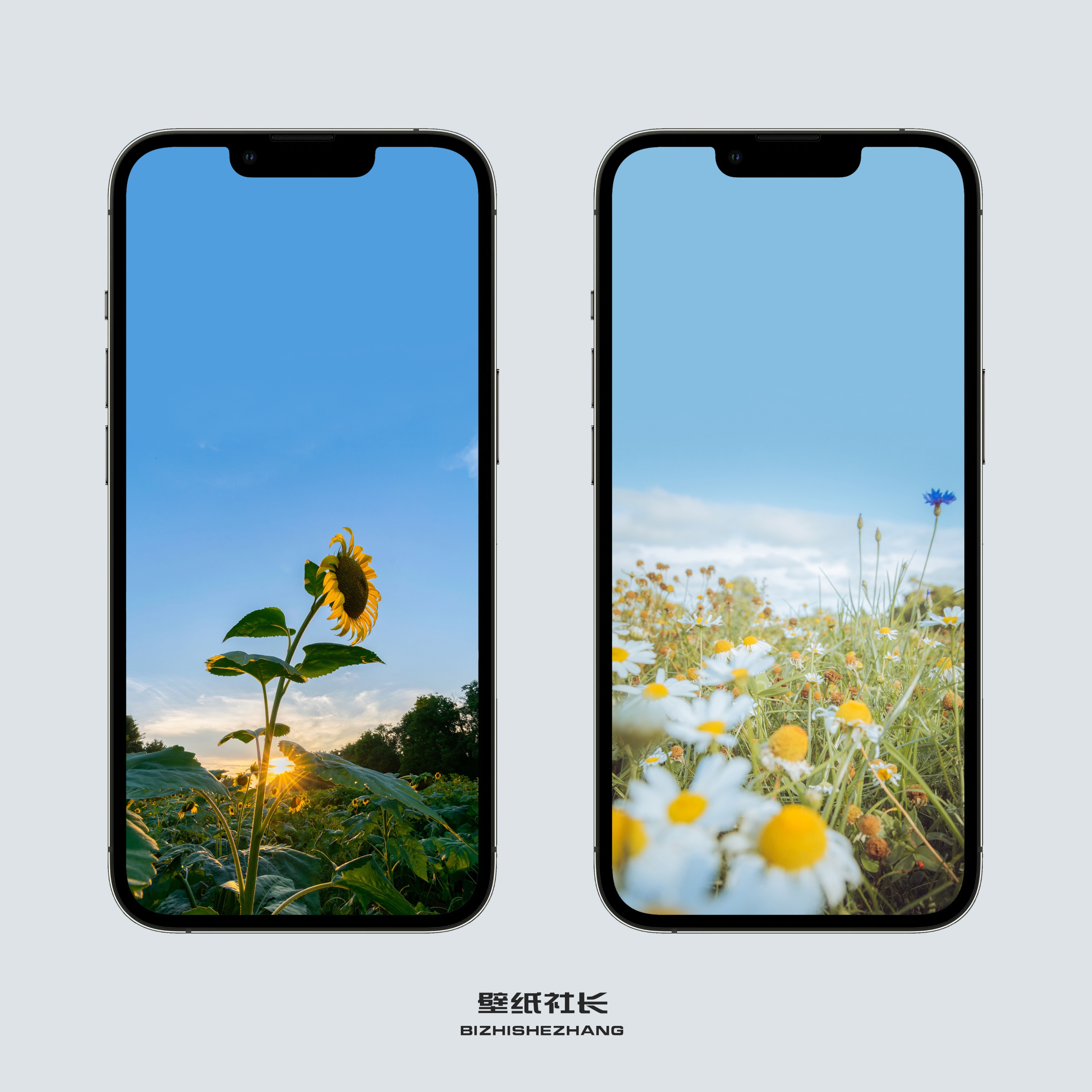 iphone13promax手机壁纸推荐,iphone13promax壁纸动态