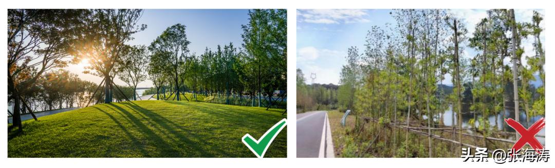 湖北园林绿化工程施工,湖北园林绿化景观设计施工养护