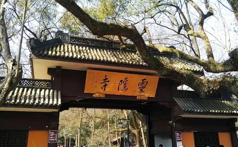 杭州旅游必去十大景点推荐一下,杭州看花好去处杭州网红景点