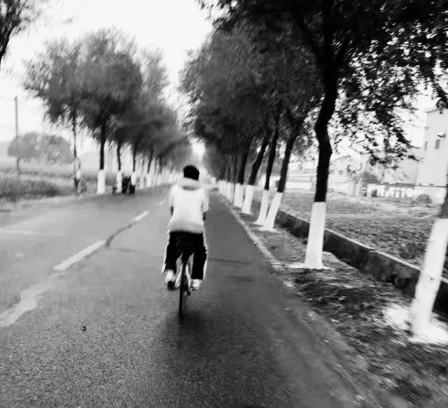 我的老师系列2——罗登松