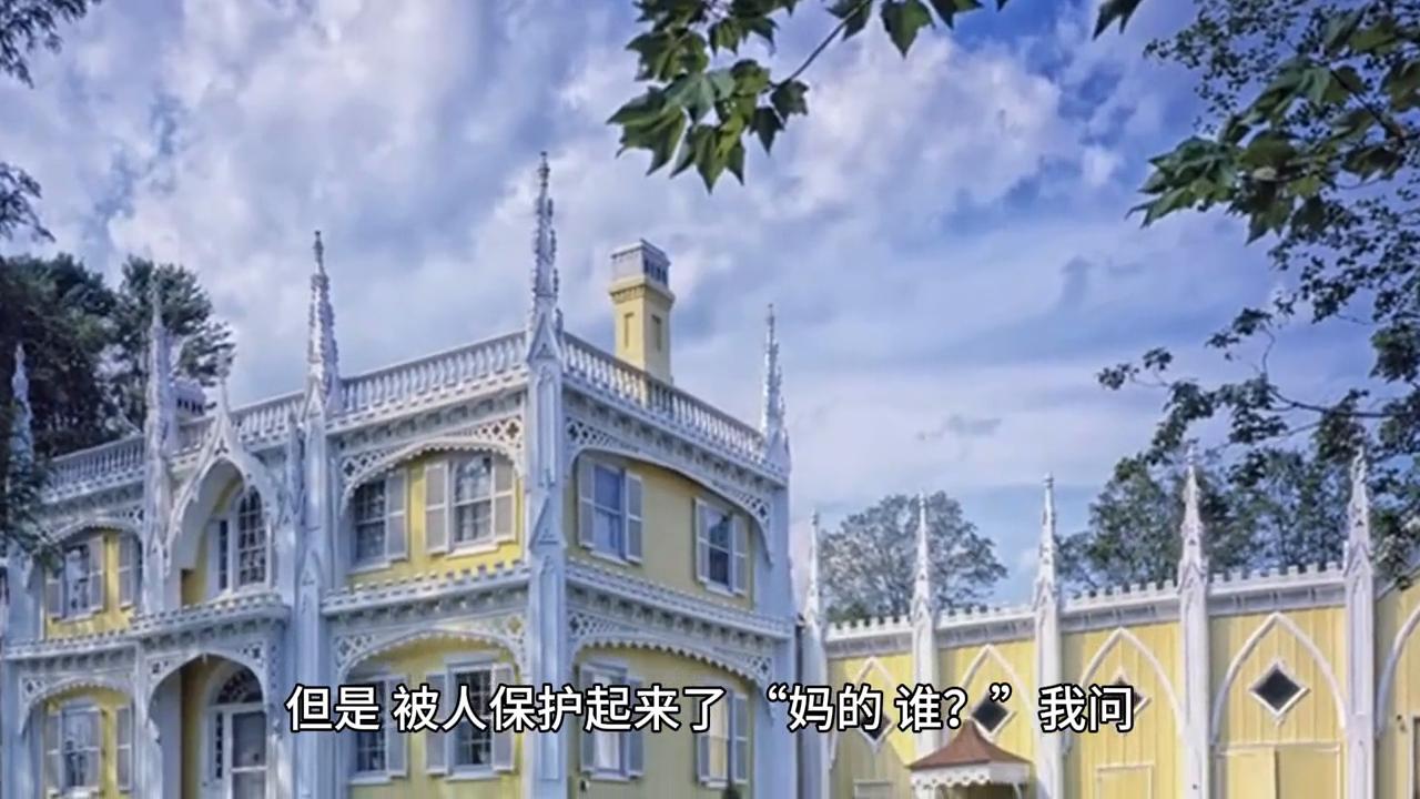 【红宝龙】赌石892章