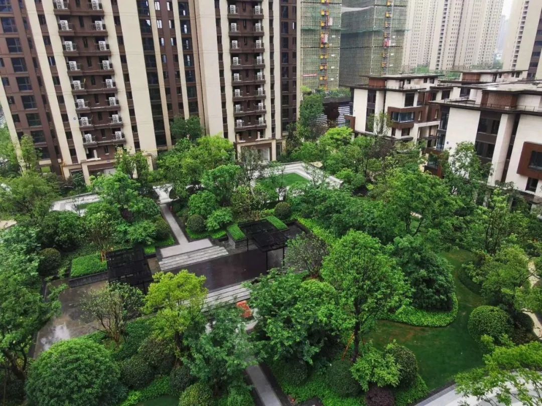 以贷养贷每月还1000本金,以贷养贷一个月需还2万怎么办