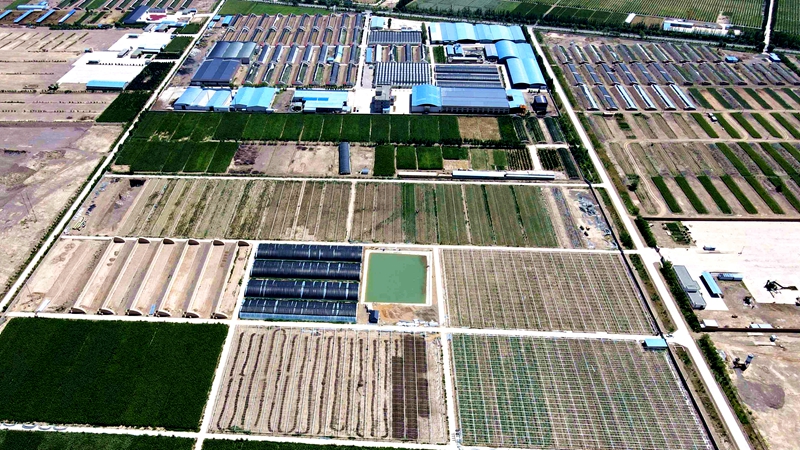 菜园子发展方向,菜园子村有什么规划