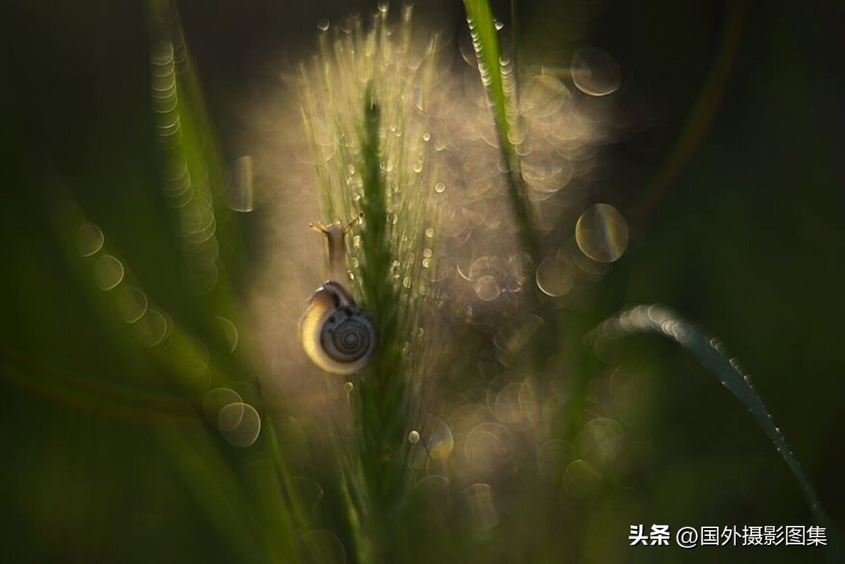 最美的景色秋天照片高清,夏天和秋天的绝美照片