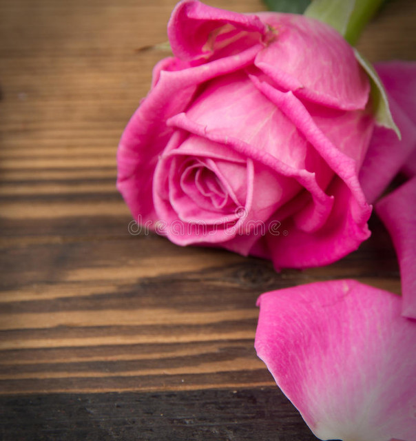 谈婚论嫁男方需要准备什么,准备谈婚论嫁需要做什么