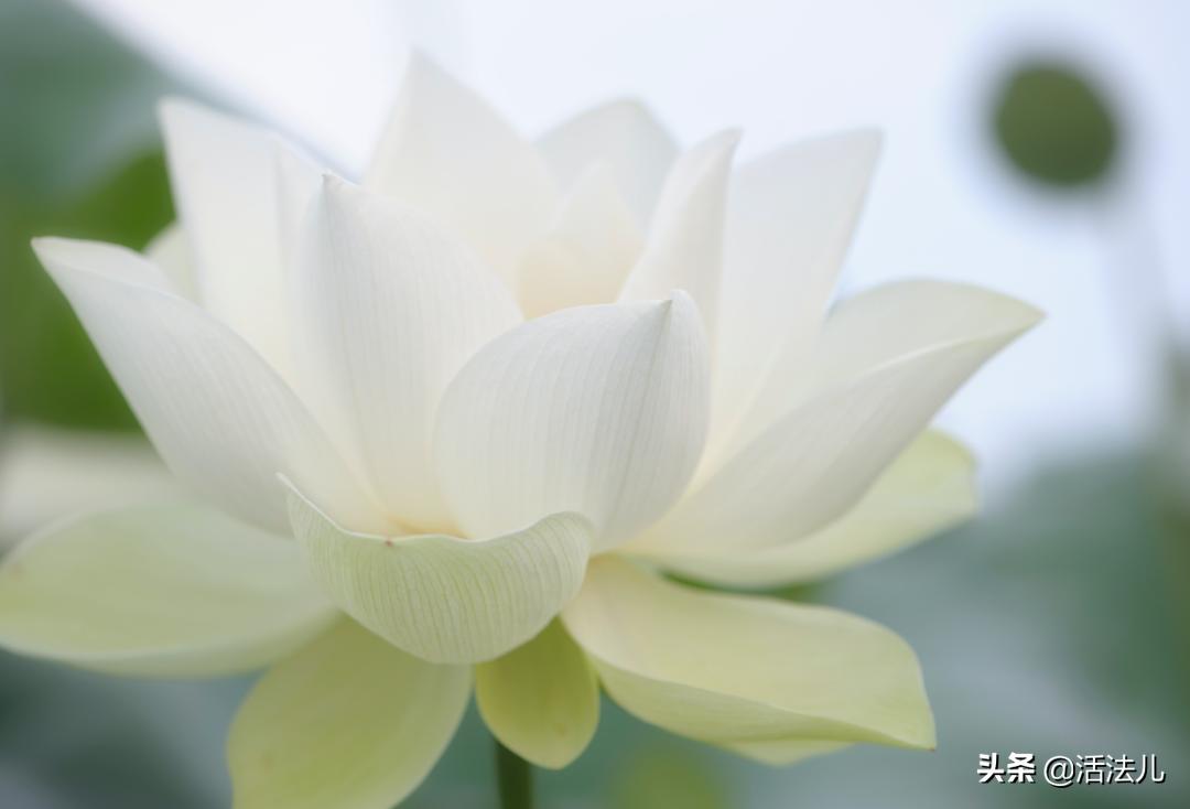 夏至去湿热的方法,大暑节气如何祛湿气