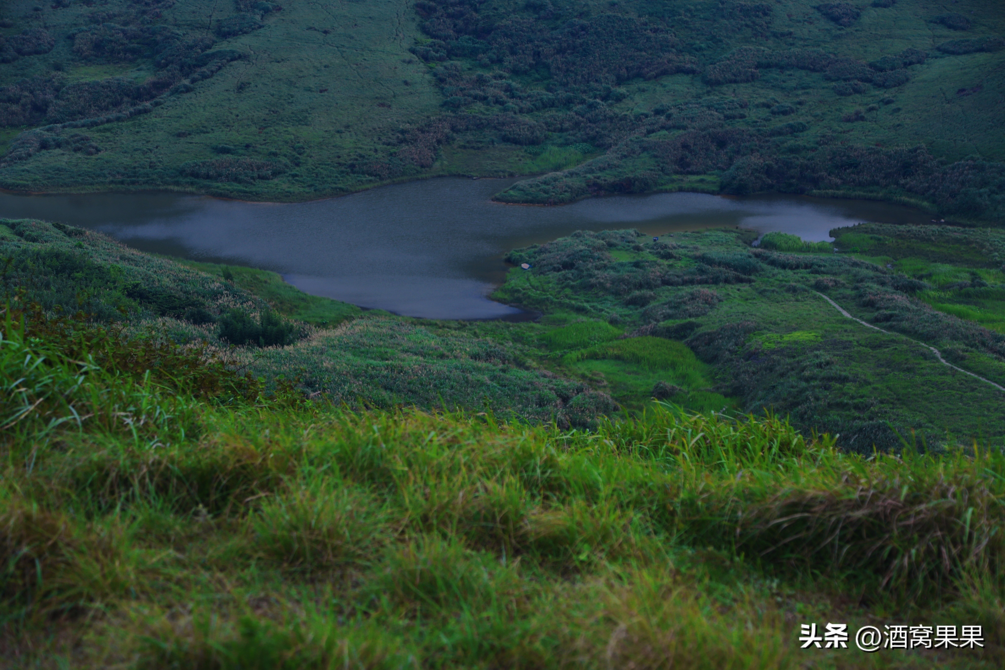 福鼎两天一夜旅游攻略,福鼎茶漫步茶园体验采茶之旅