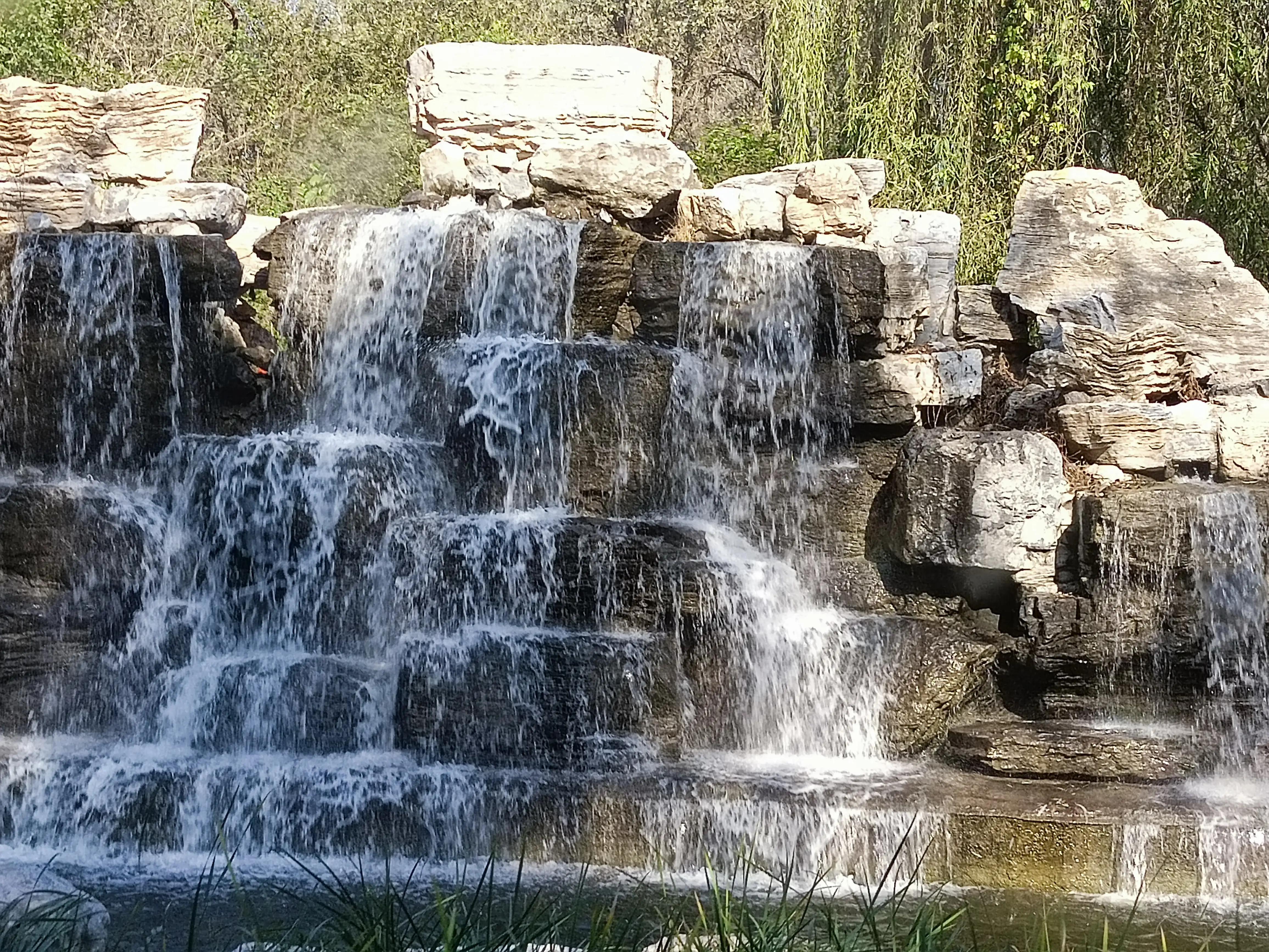 北京动物园和北京野生动物园区别,北京野生动物园狗妈妈和老虎狮子
