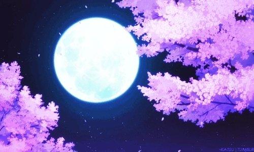 古诗描写月亮的诗句有哪些,有关月亮的古诗海上生明月