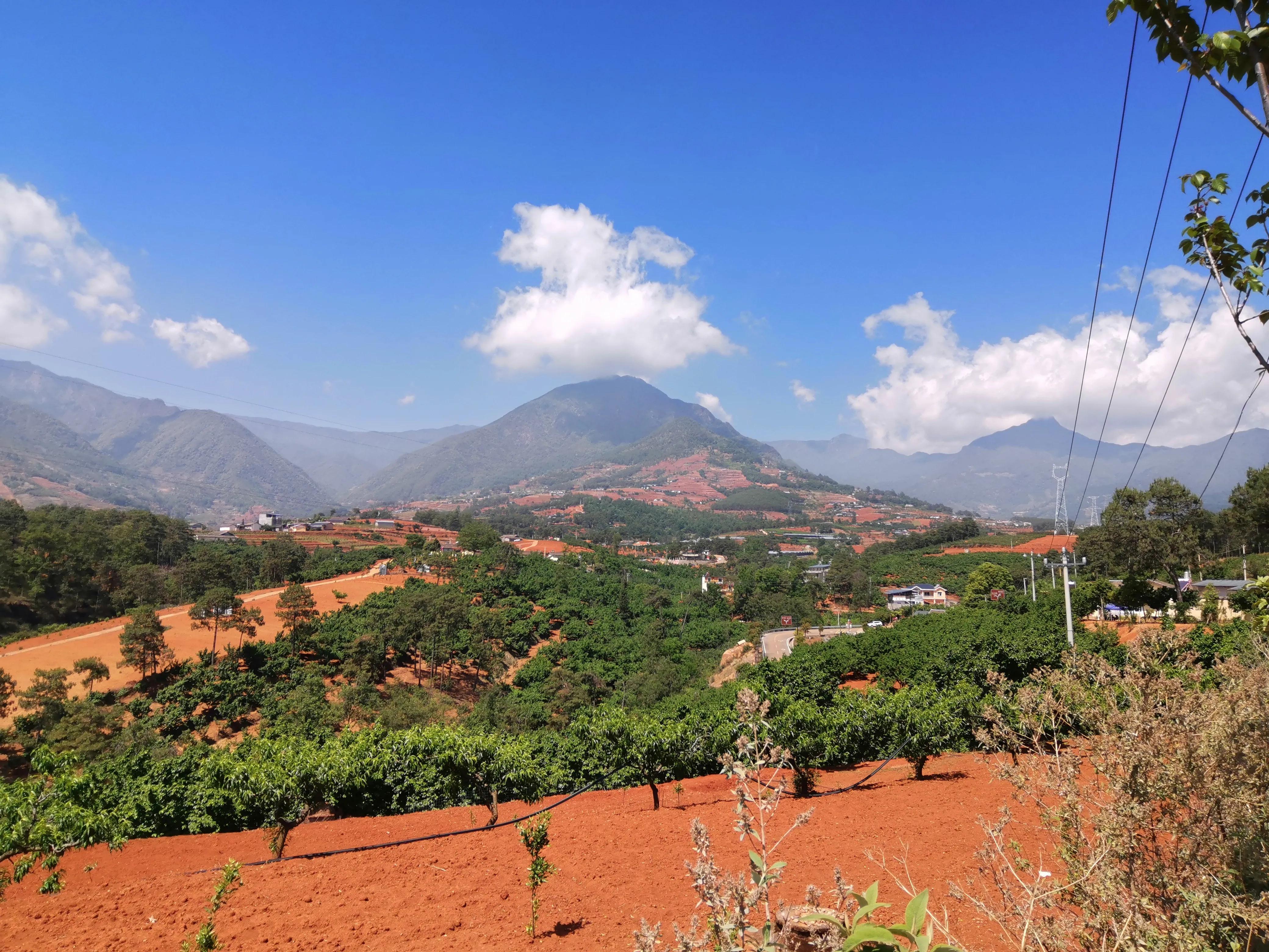 西昌樟木茅坡过生日,现在西昌樟木茅坡上还有樱桃吗