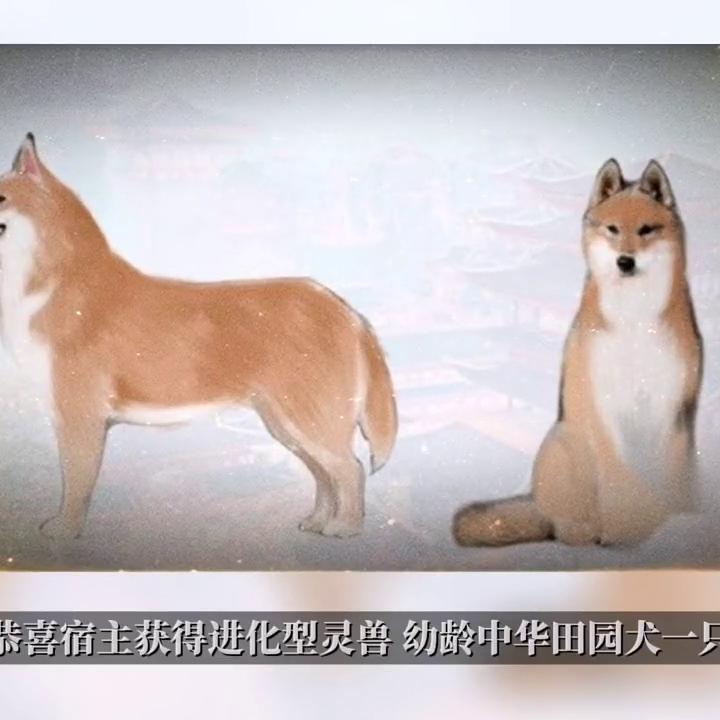 热门小说排行榜前十名,热门小说免费大全