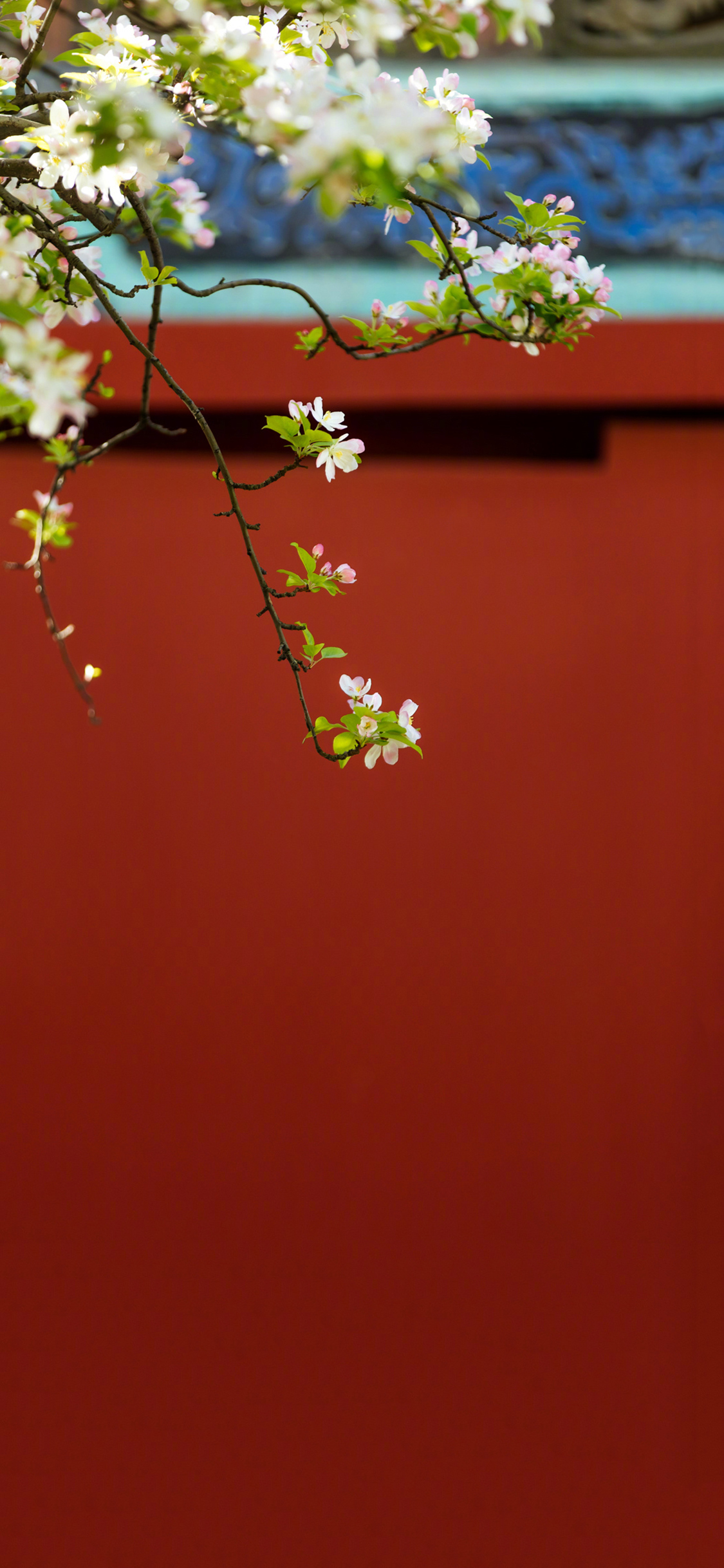 2023年手机壁纸,2023年最新款超清手机壁纸