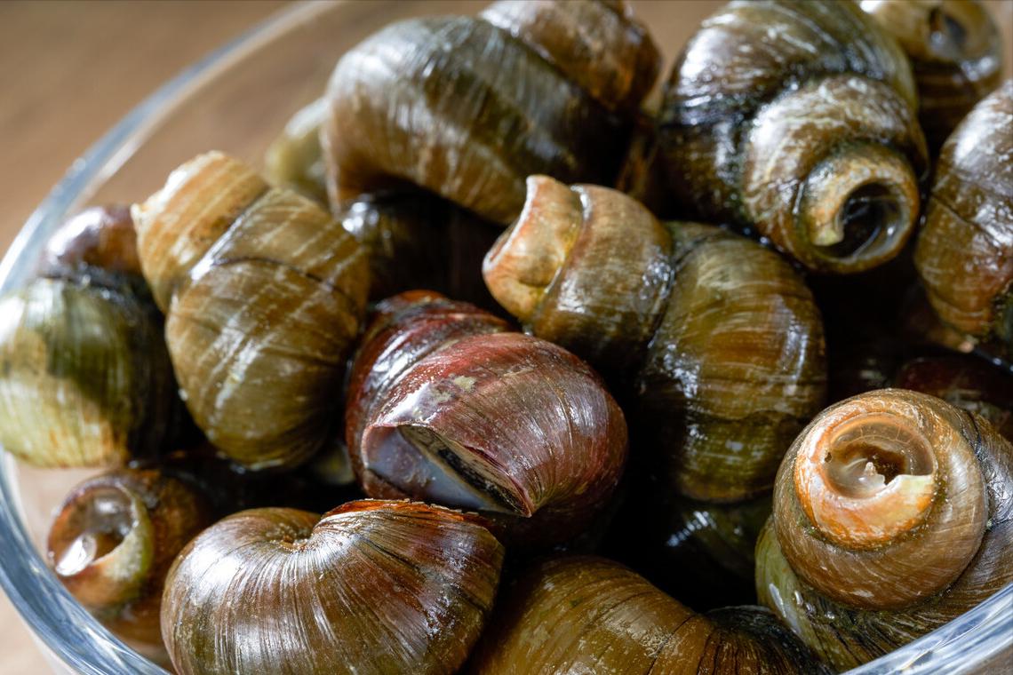 田螺要吃什么样的好,田螺要先清洗还是先去尾