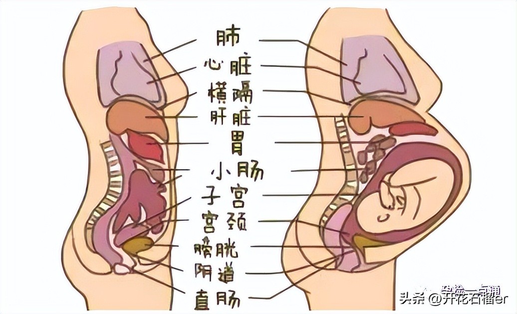 怀孕初期有味道怎么回事,怀孕后这9个细微变化你知道吗