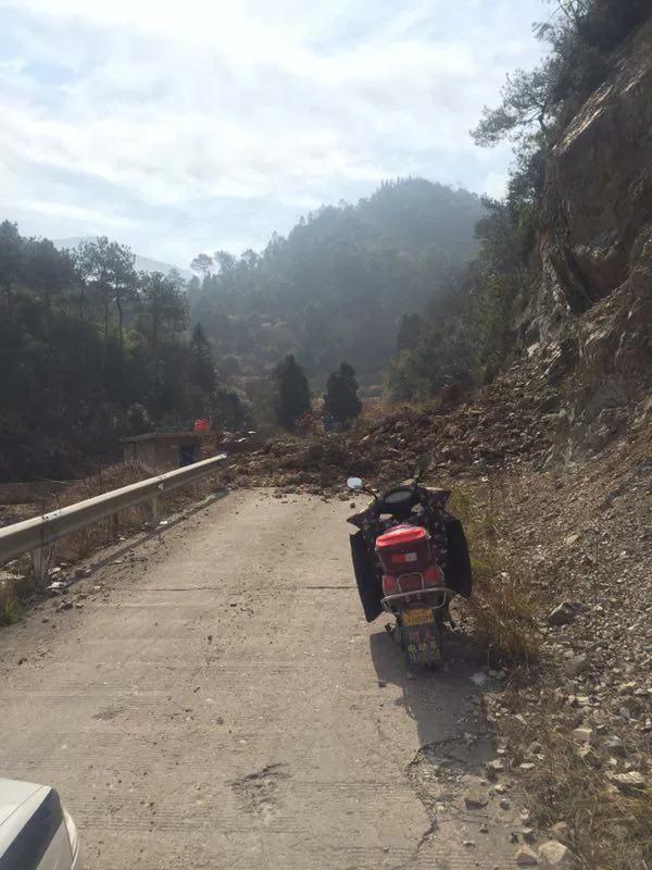肉灵芝太岁走近科学是啥,肉灵芝太岁是什么