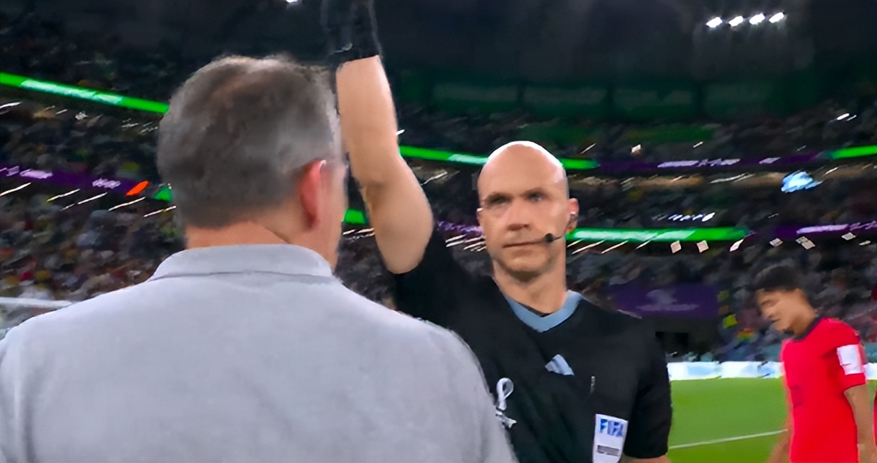 世界杯教练红牌罚下名场面,世界杯上球员被罚黄牌与裁判冲突