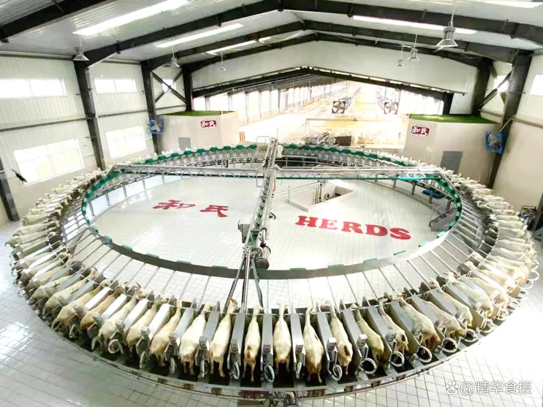 和氏乳业新闻,和氏羊乳集团