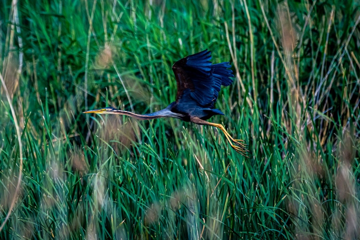 持续读写再升级至誉NITRO系列CFexpressTypeB存储卡评测
