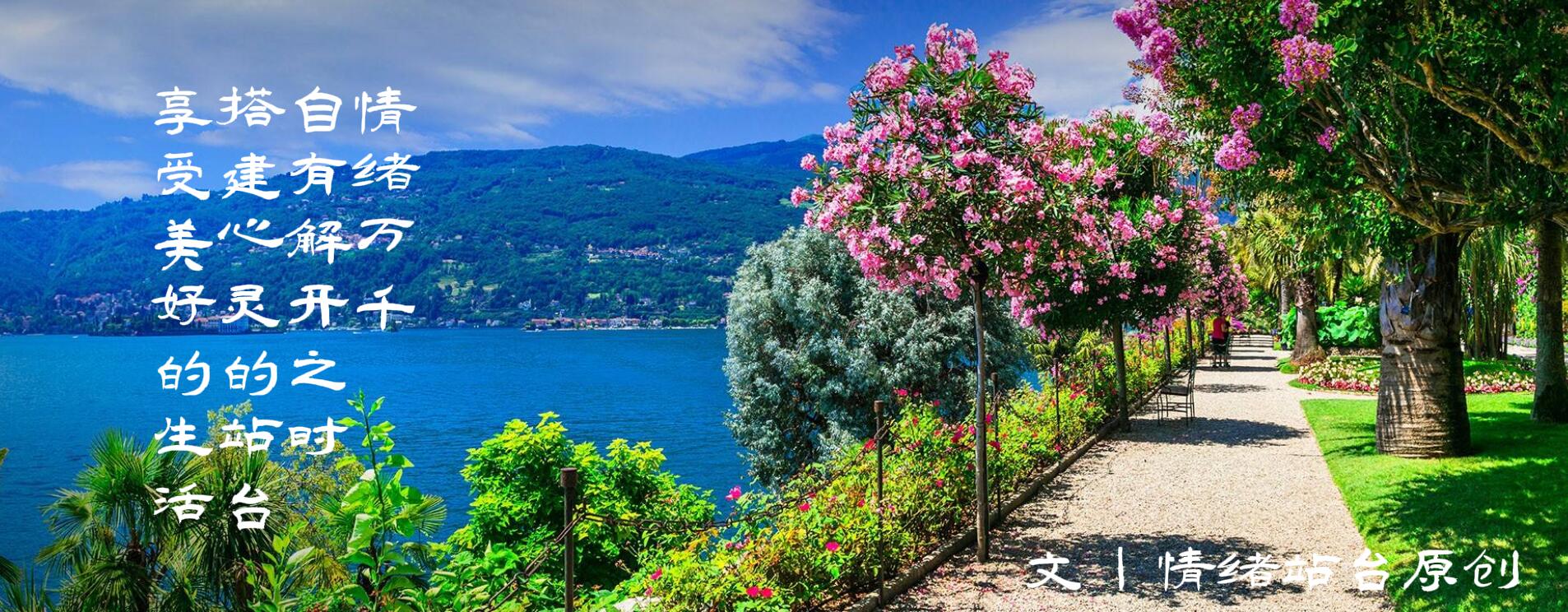 你的运气为什么不好呢,好运总是会在不经意间来的