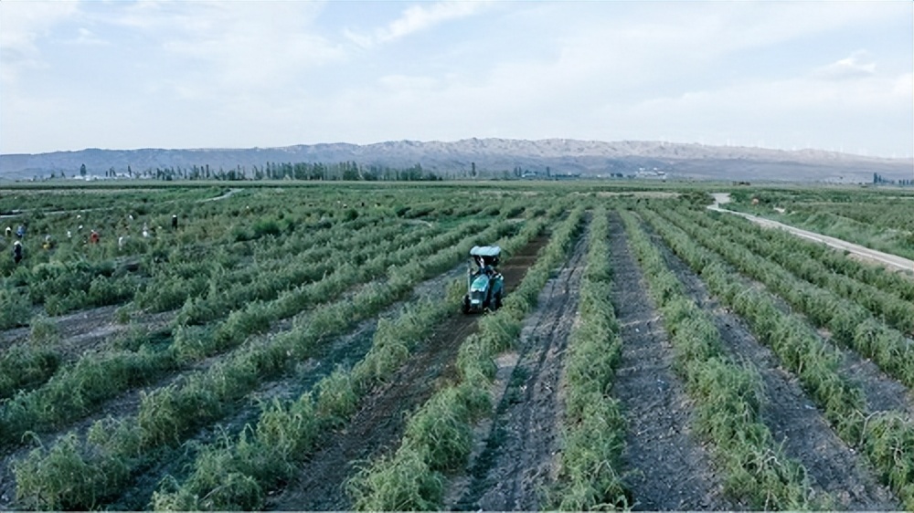 安利首次发布可持续发展报告,安利发布可持续发展报告