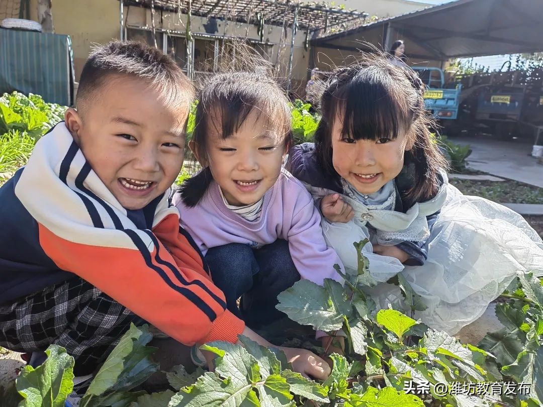 新闻周播报完整版,周播报抖音