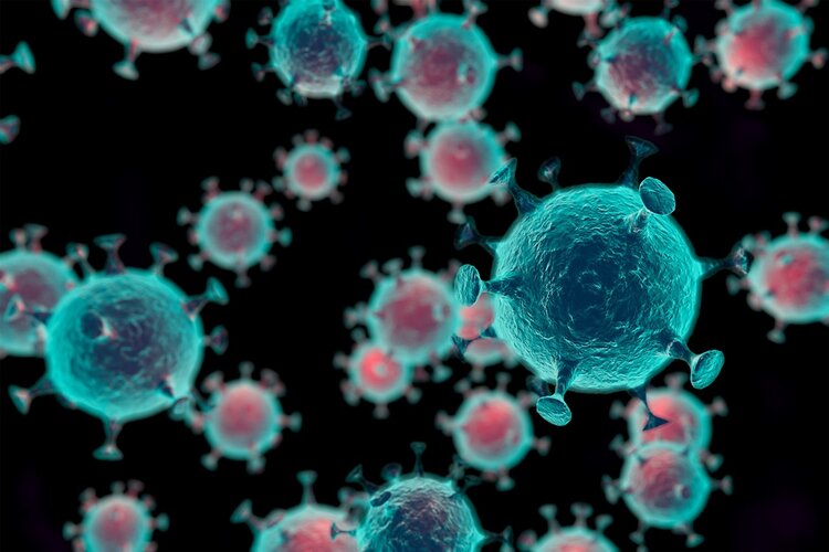 被称为长寿菜的红薯叶怎么做好吃,红薯叶为什么被称为长寿菜