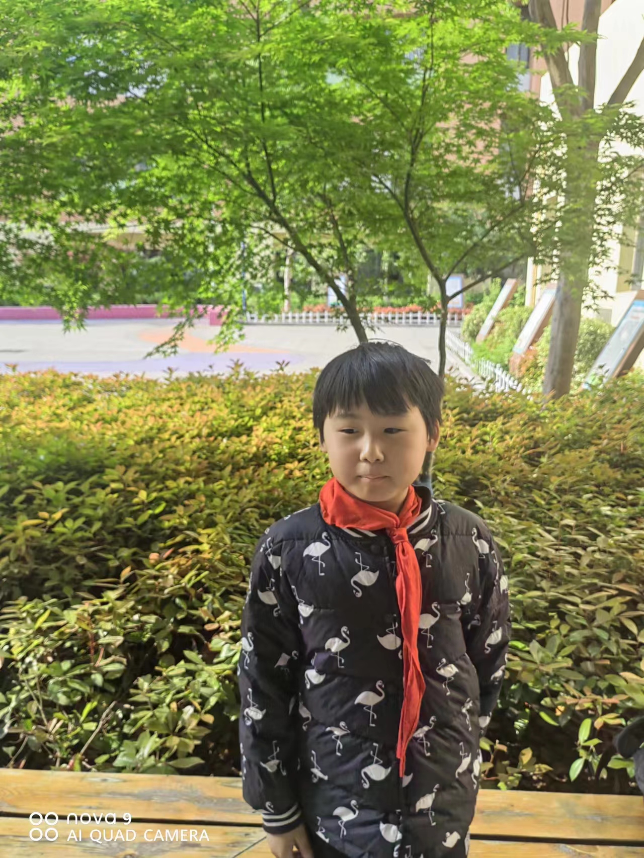 四下第五单元作文预习,四下第五单元同步作文