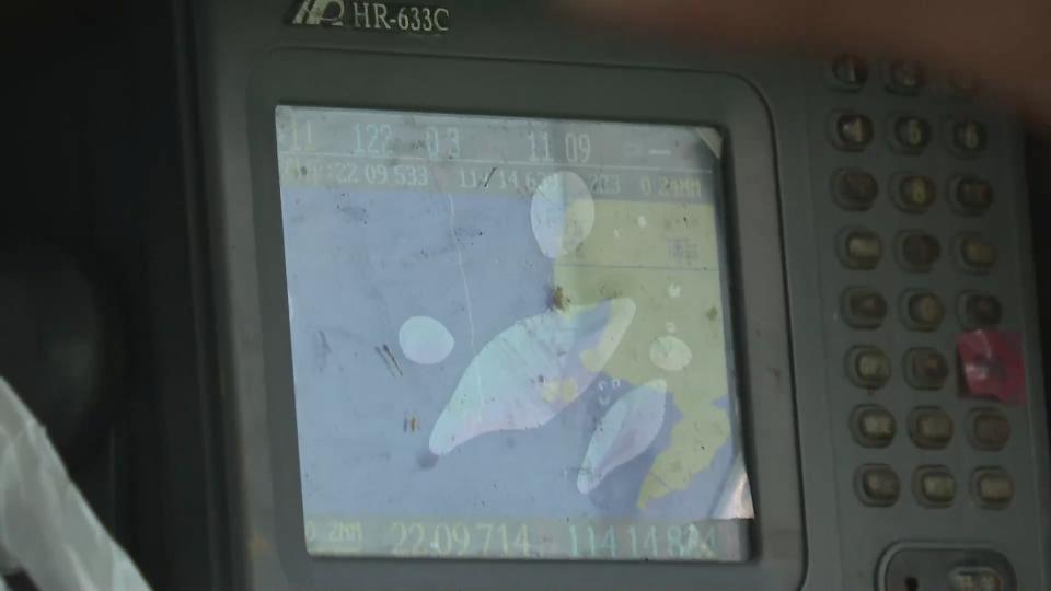 香港海域突现百万鲳鱼，背后原因令人唏嘘