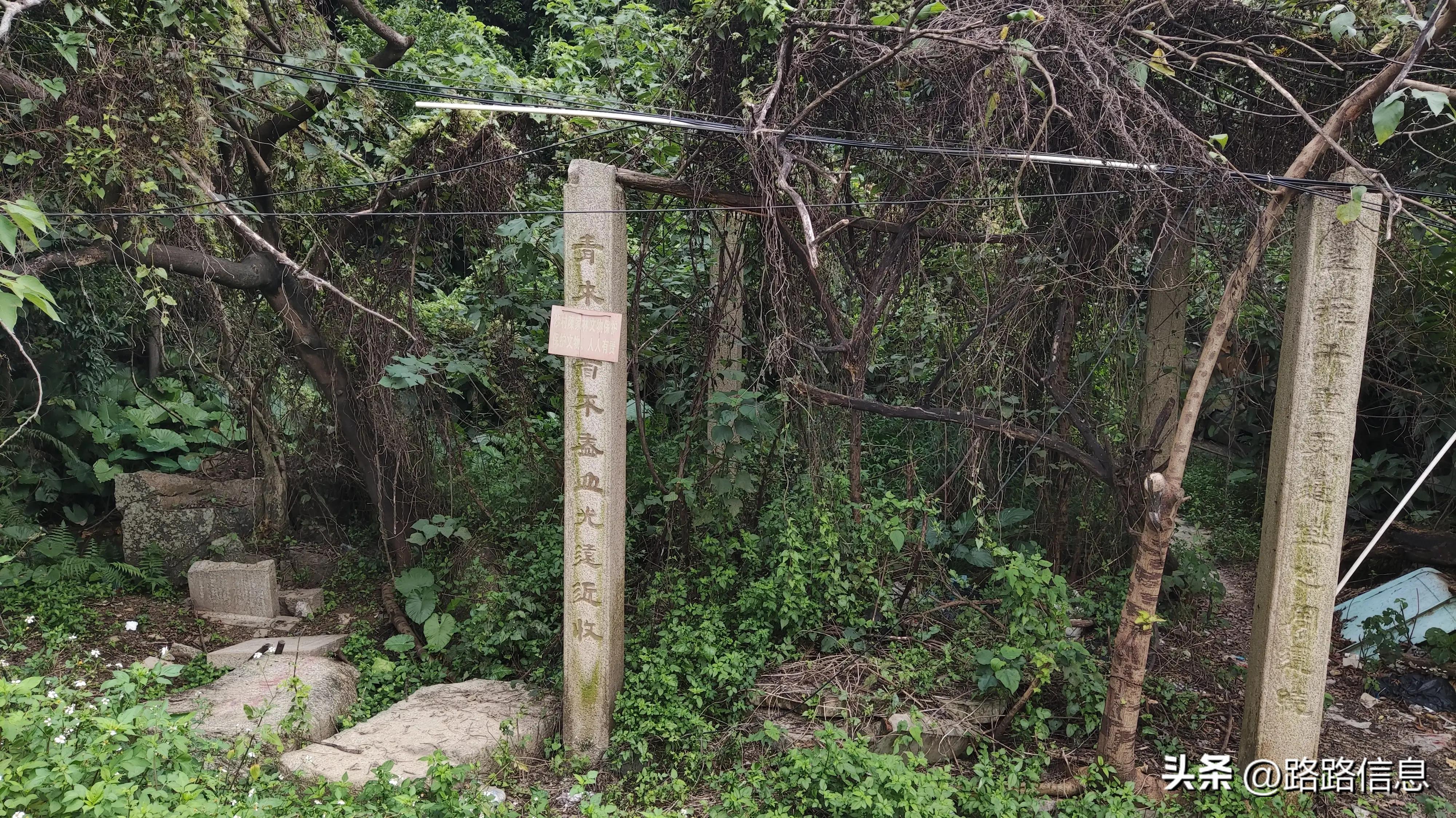 佛穗莞城际陈家林站,穗莞佛城轨陈家林站