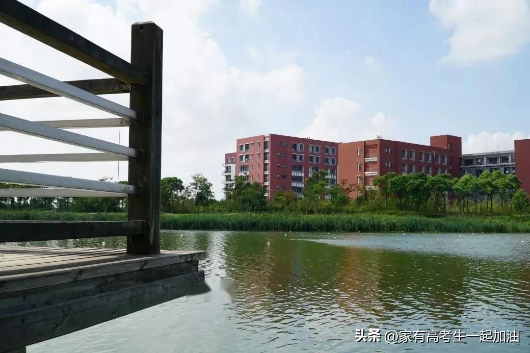 每日一校东华理工大学,每日一校陕西理工大学