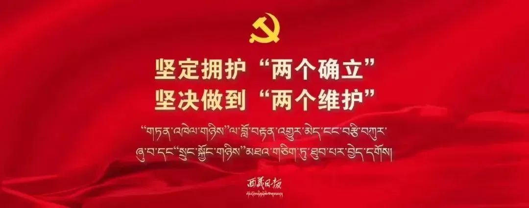 丹心向核心护航新征程含义,丹心向核心护航新征程演讲材料