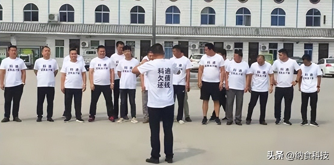 科迪乳业介绍,关于科迪乳业