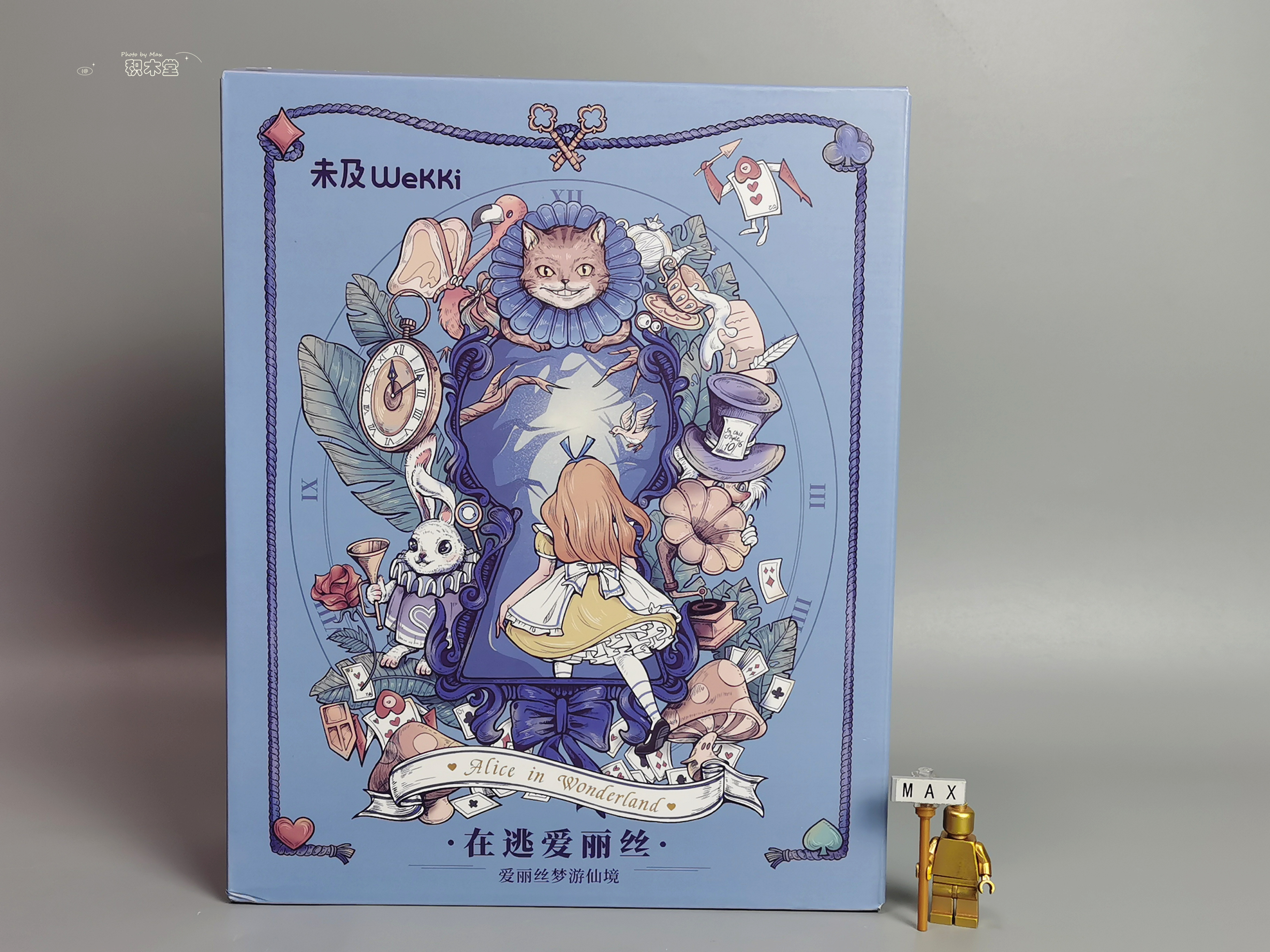 「体验」未及的众筹产品抢先看《在逃公主-爱丽丝》