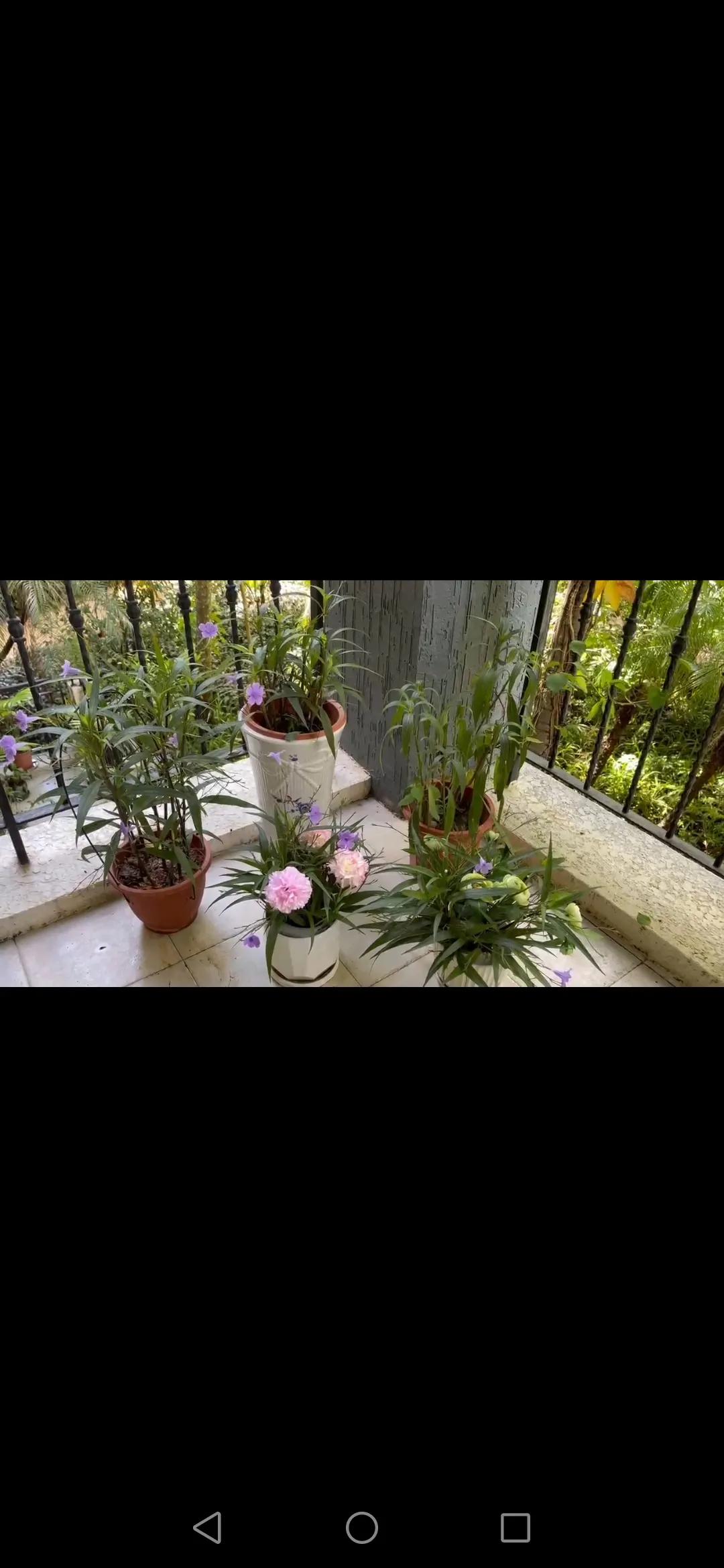 风雨过后见彩虹励志八字句子,风雨过后见彩虹文案句子