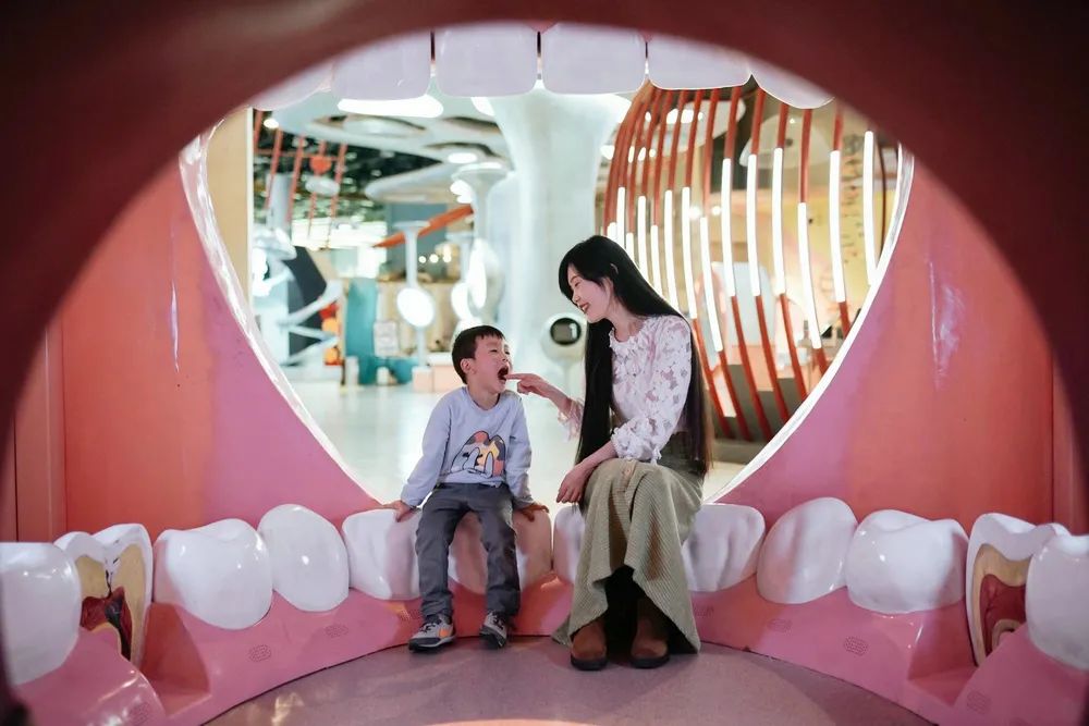 冬天厦门观鸟旅游,厦门大自然小朋友玩的地方推荐