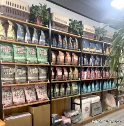 铲屎官亲自铲狗粮,铲屎官你们喂的什么狗粮