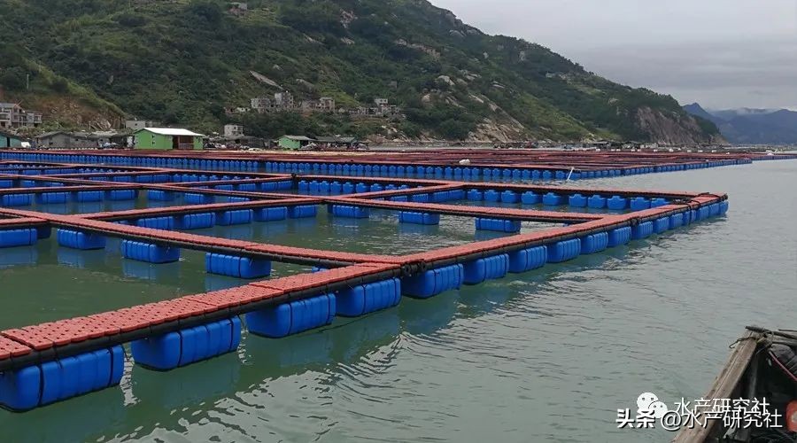 刺参消化系统组织结构特点,刺参粘多糖怎么分解